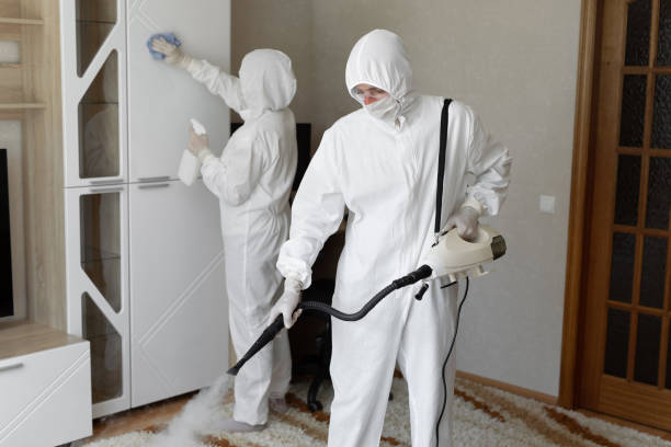 Affordable Odor Removal solutions in Burchard, NE